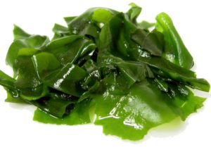 macrobiotica platos con algas