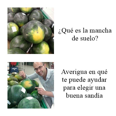 mancha de suelo y macrobiótica